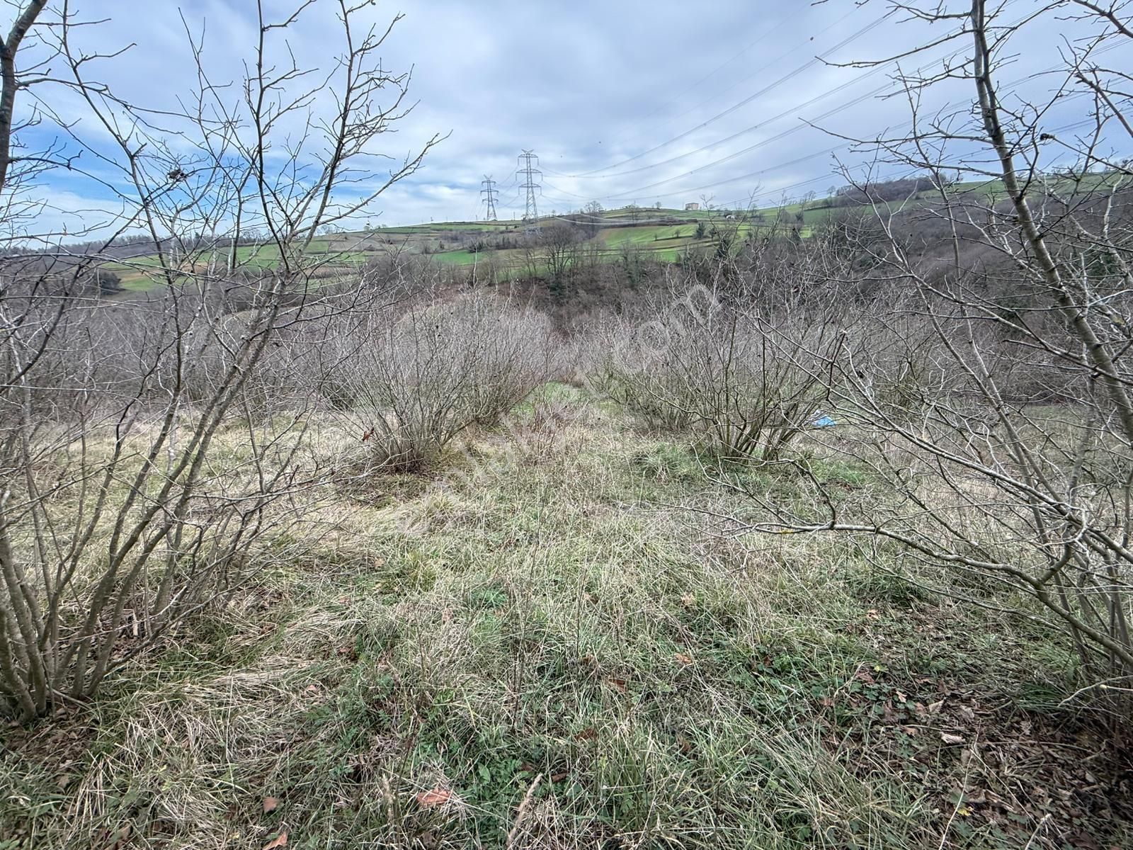 Kaynarca Şeyhtımarı'nda 1960m2 Fırsat Tarla - Görsel 4