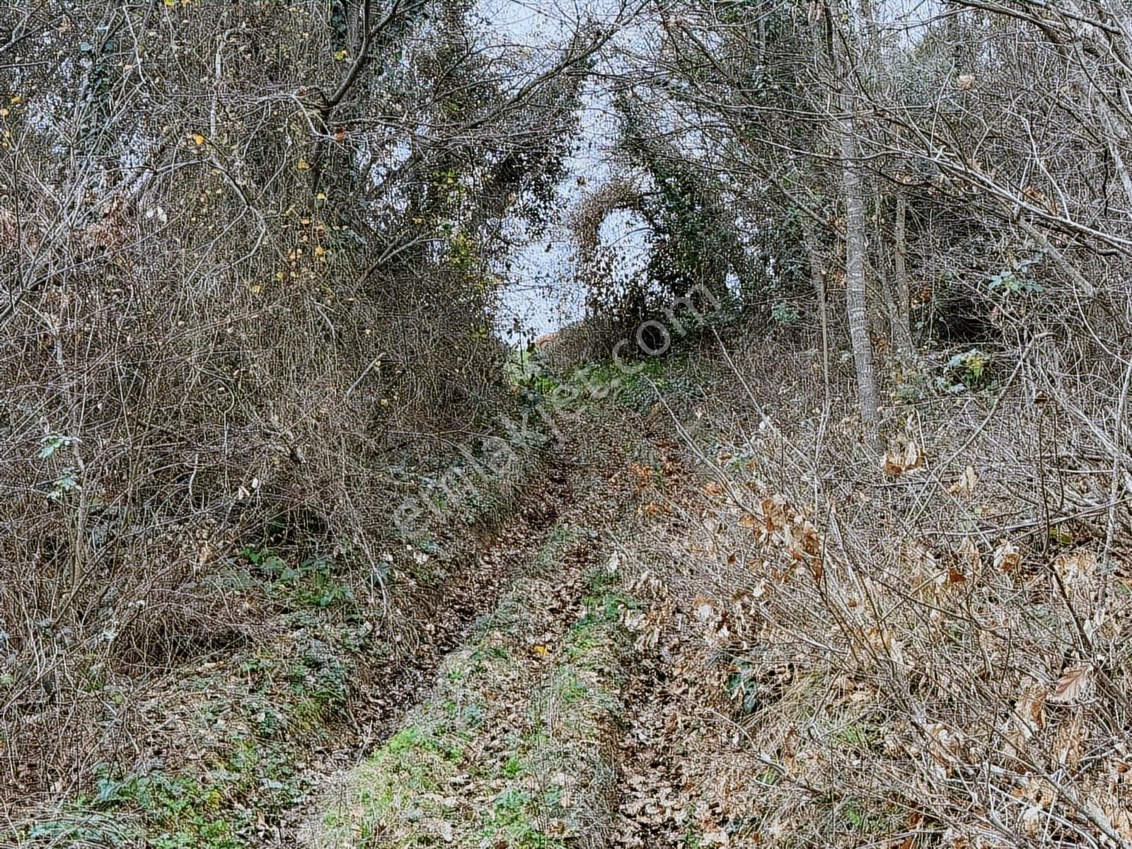 Kaynarca Şeyhtımarı'nda 1960m2 Fırsat Tarla - Görsel 9