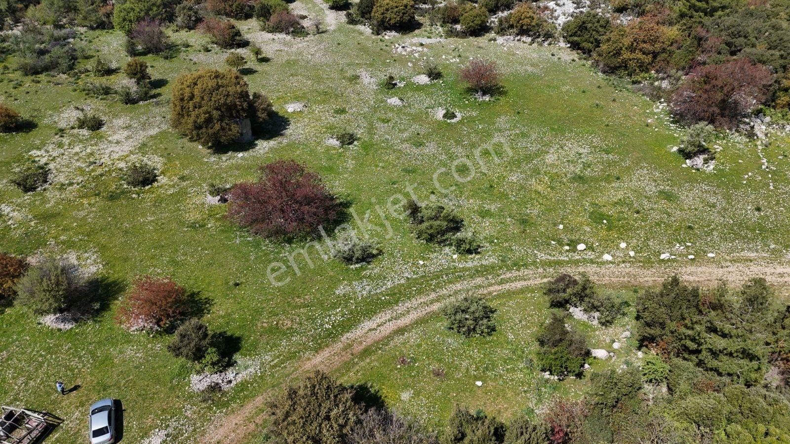 07 Truva Emlak'tan Kumluca Belen De Deniz Manzaralı Satılık Tarl - Görsel 12