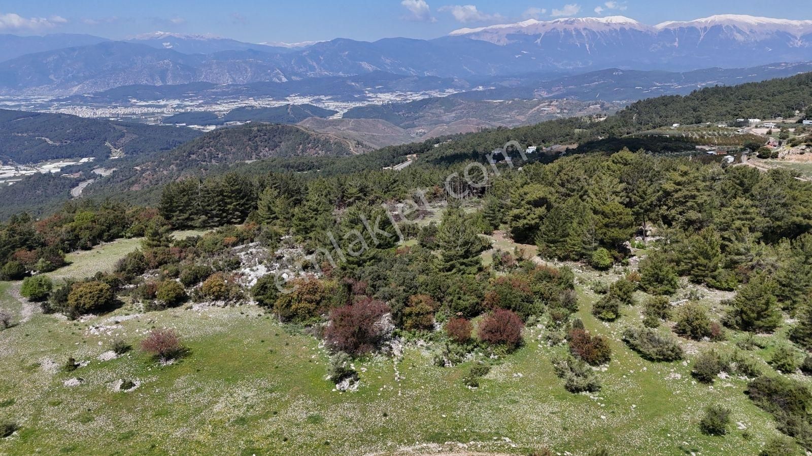 07 Truva Emlak'tan Kumluca Belen De Deniz Manzaralı Satılık Tarl - Görsel 4