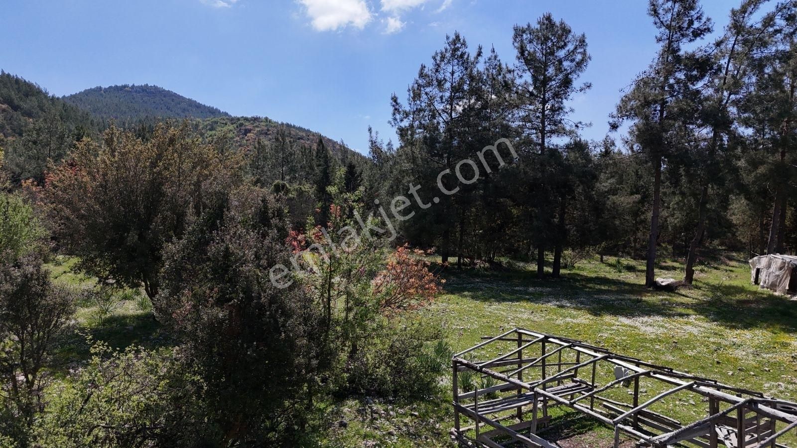 07 Truva Emlak'tan Kumluca Belen De Deniz Manzaralı Satılık Tarl - Görsel 6