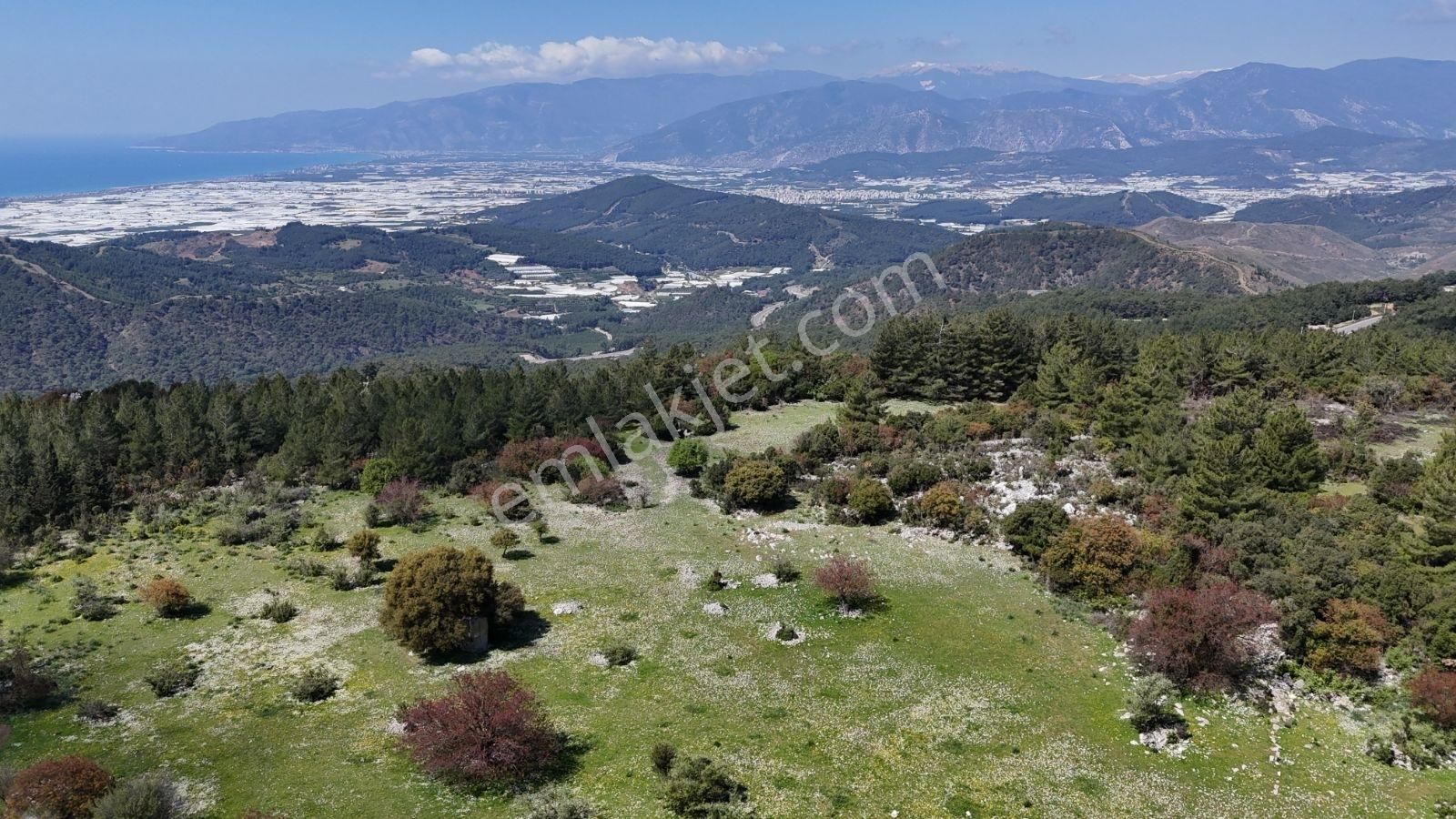 07 Truva Emlak'tan Kumluca Belen De Deniz Manzaralı Satılık Tarl - Görsel 28