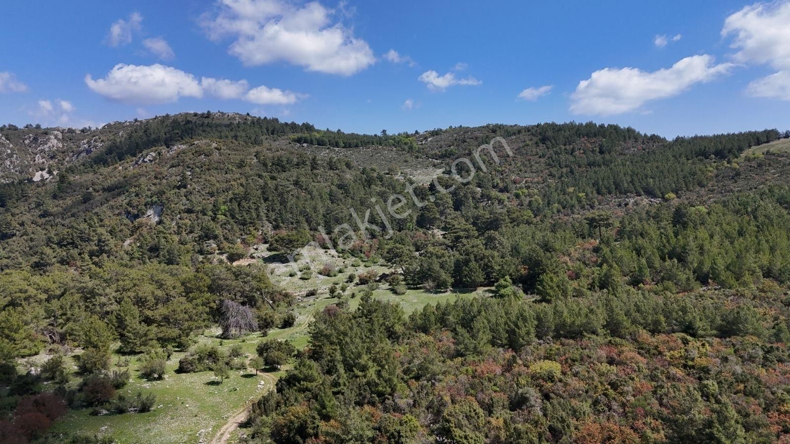 07 Truva Emlak'tan Kumluca Belen De Deniz Manzaralı Satılık Tarl - Görsel 24