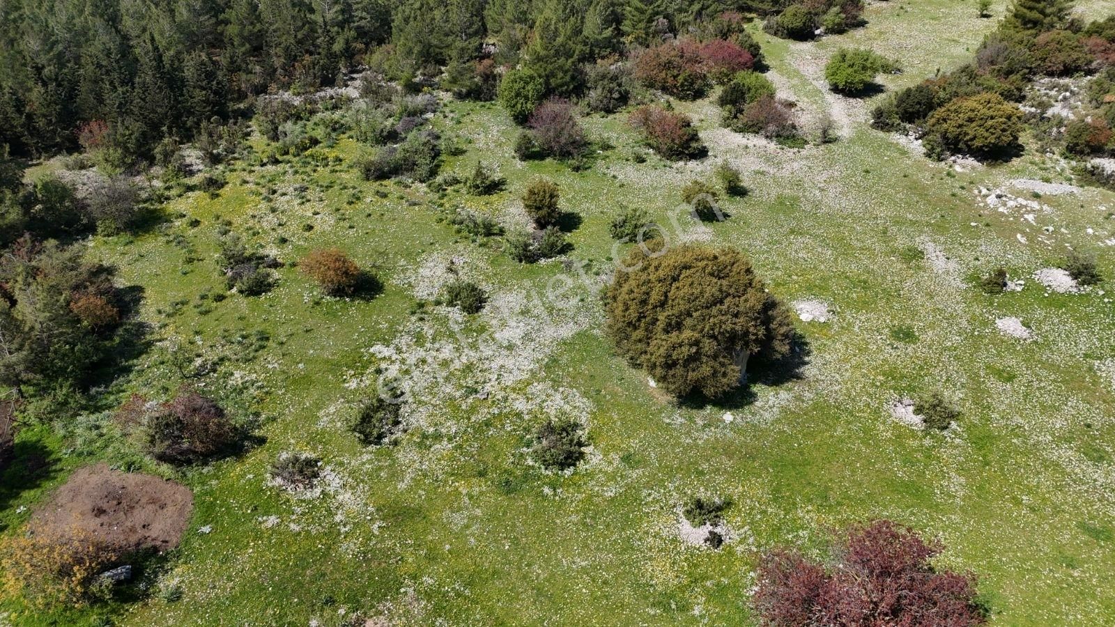 07 Truva Emlak'tan Kumluca Belen De Deniz Manzaralı Satılık Tarl - Görsel 34