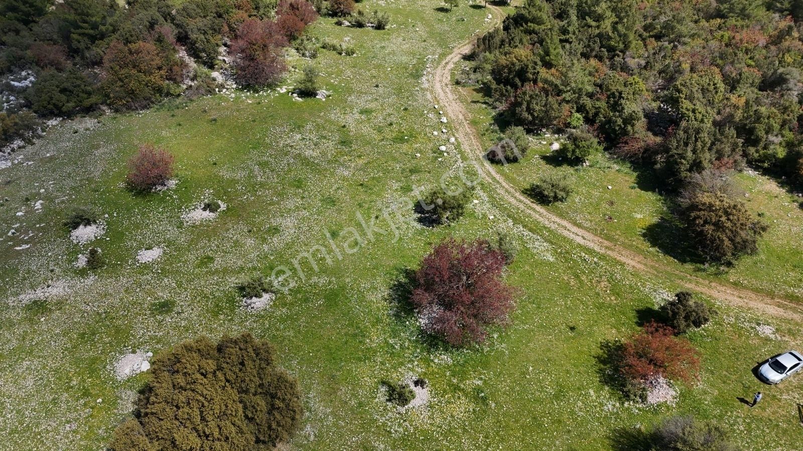 07 Truva Emlak'tan Kumluca Belen De Deniz Manzaralı Satılık Tarl - Görsel 17