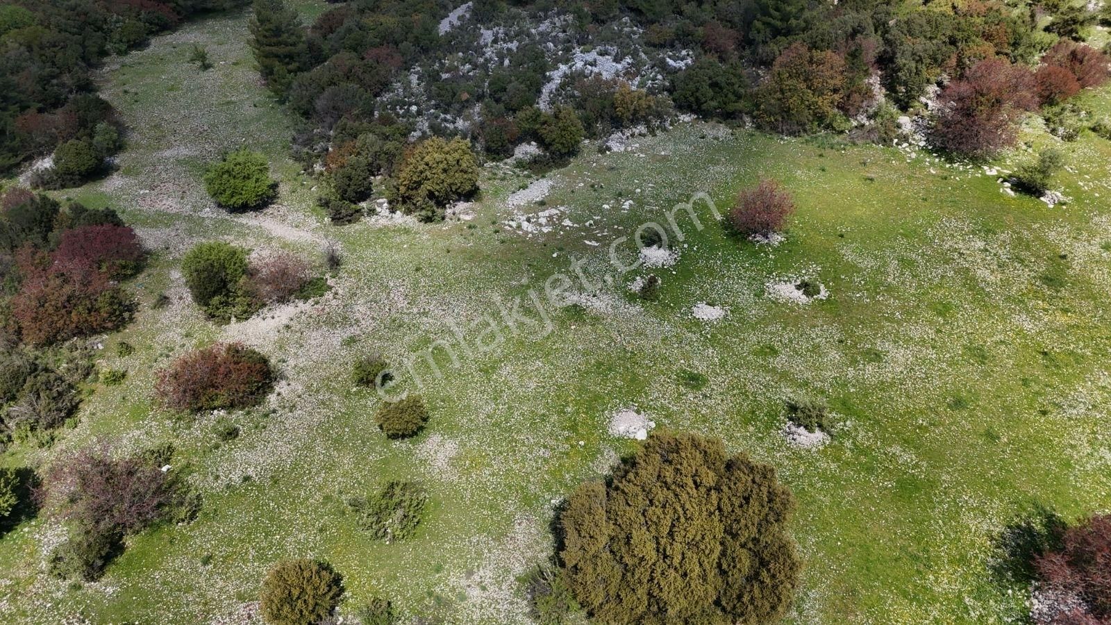 07 Truva Emlak'tan Kumluca Belen De Deniz Manzaralı Satılık Tarl - Görsel 7