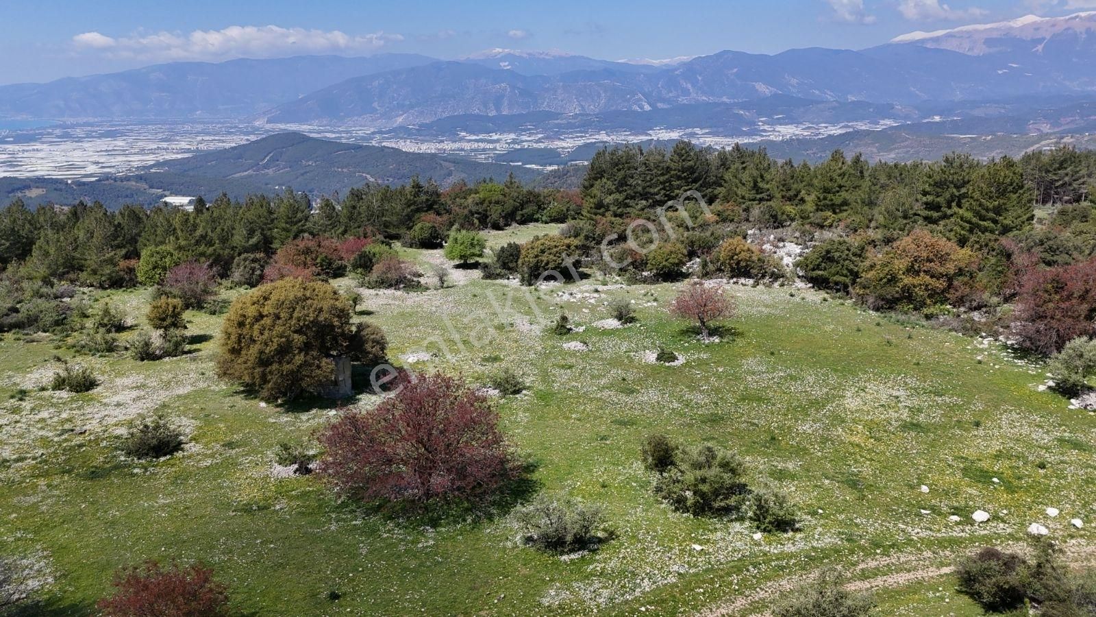 07 Truva Emlak'tan Kumluca Belen De Deniz Manzaralı Satılık Tarl - Görsel 15