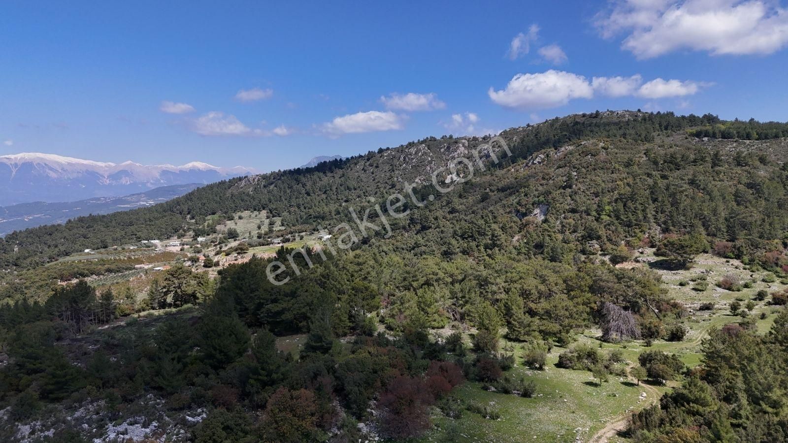 07 Truva Emlak'tan Kumluca Belen De Deniz Manzaralı Satılık Tarl - Görsel 22