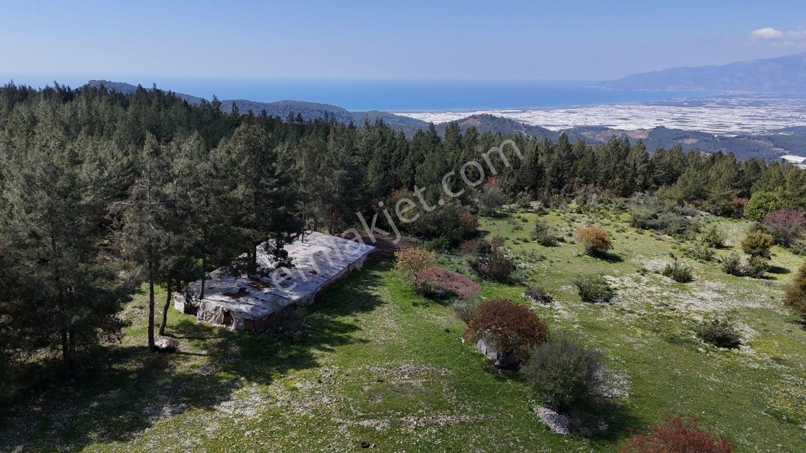 07 Truva Emlak'tan Kumluca Belen De Deniz Manzaralı Satılık Tarl - Görsel 2