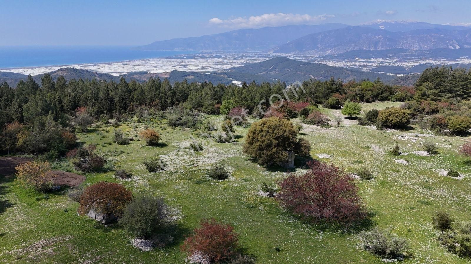 07 Truva Emlak'tan Kumluca Belen De Deniz Manzaralı Satılık Tarl - Görsel 16