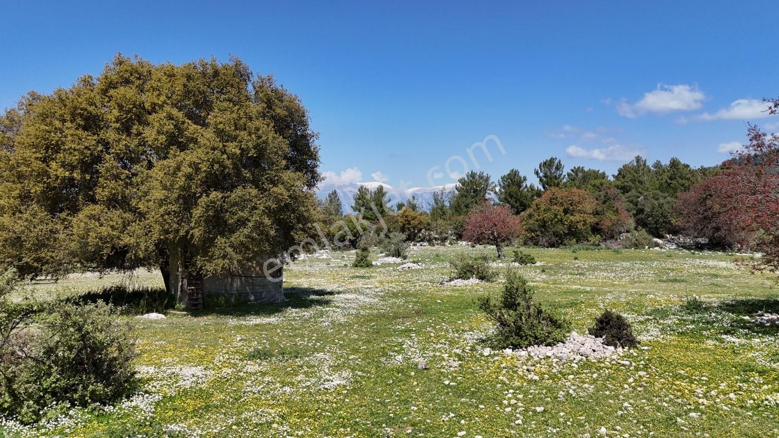 07 Truva Emlak'tan Kumluca Belen De Deniz Manzaralı Satılık Tarl - Görsel 33