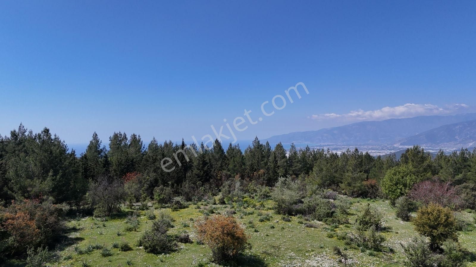 07 Truva Emlak'tan Kumluca Belen De Deniz Manzaralı Satılık Tarl - Görsel 31