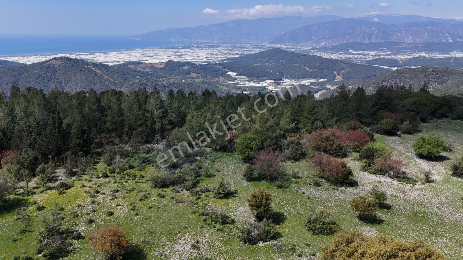 07 Truva Emlak'tan Kumluca Belen De Deniz Manzaralı Satılık Tarl - Görsel 11