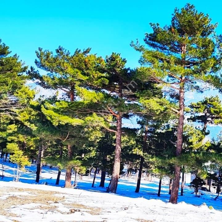 Kar Emlaktan Yenikonacık Bozkırlı Mevkiinde 400m2 Satılık Arsa - Görsel 3