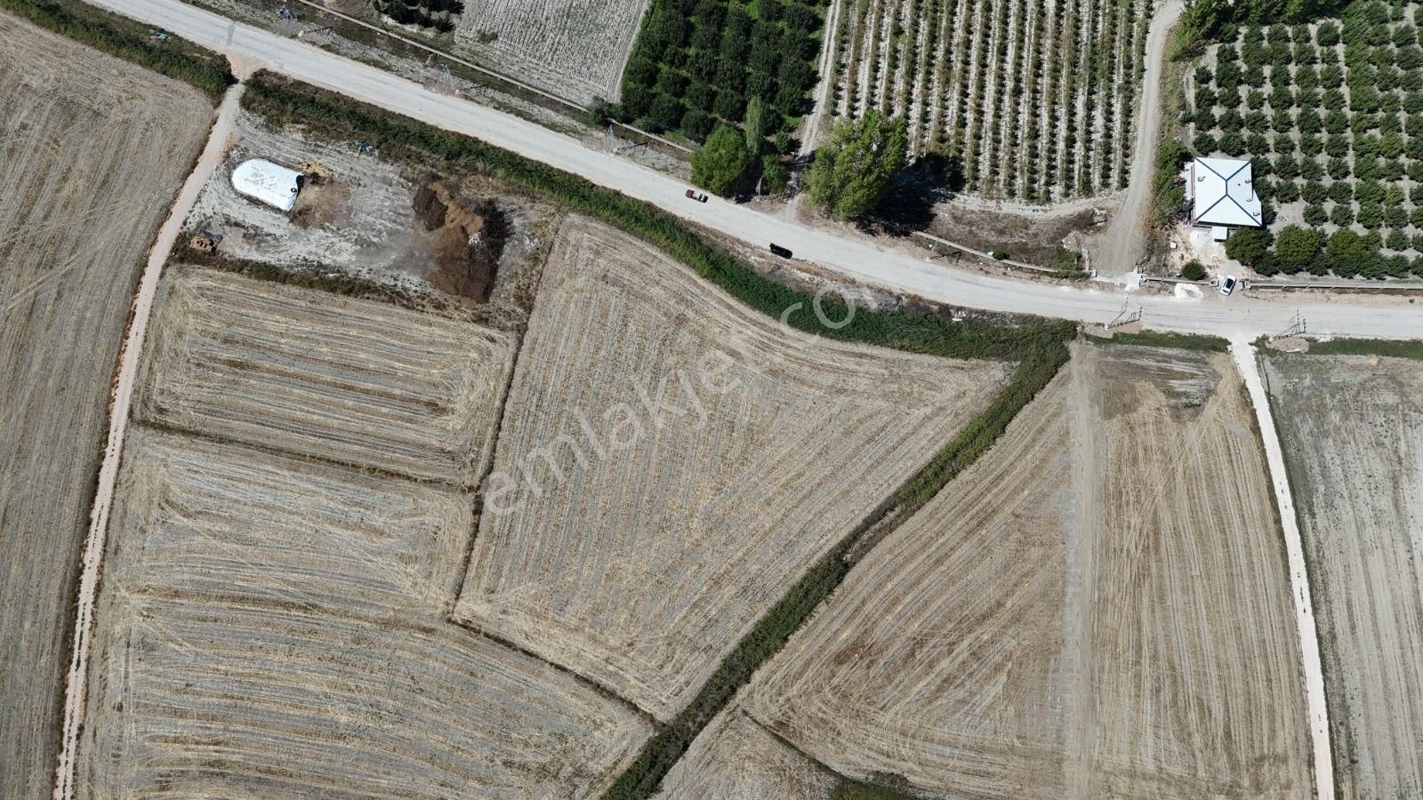 07 Truva Emlaktan Elmalı Mursel Köyünde Satılık Tarla - Görsel 21