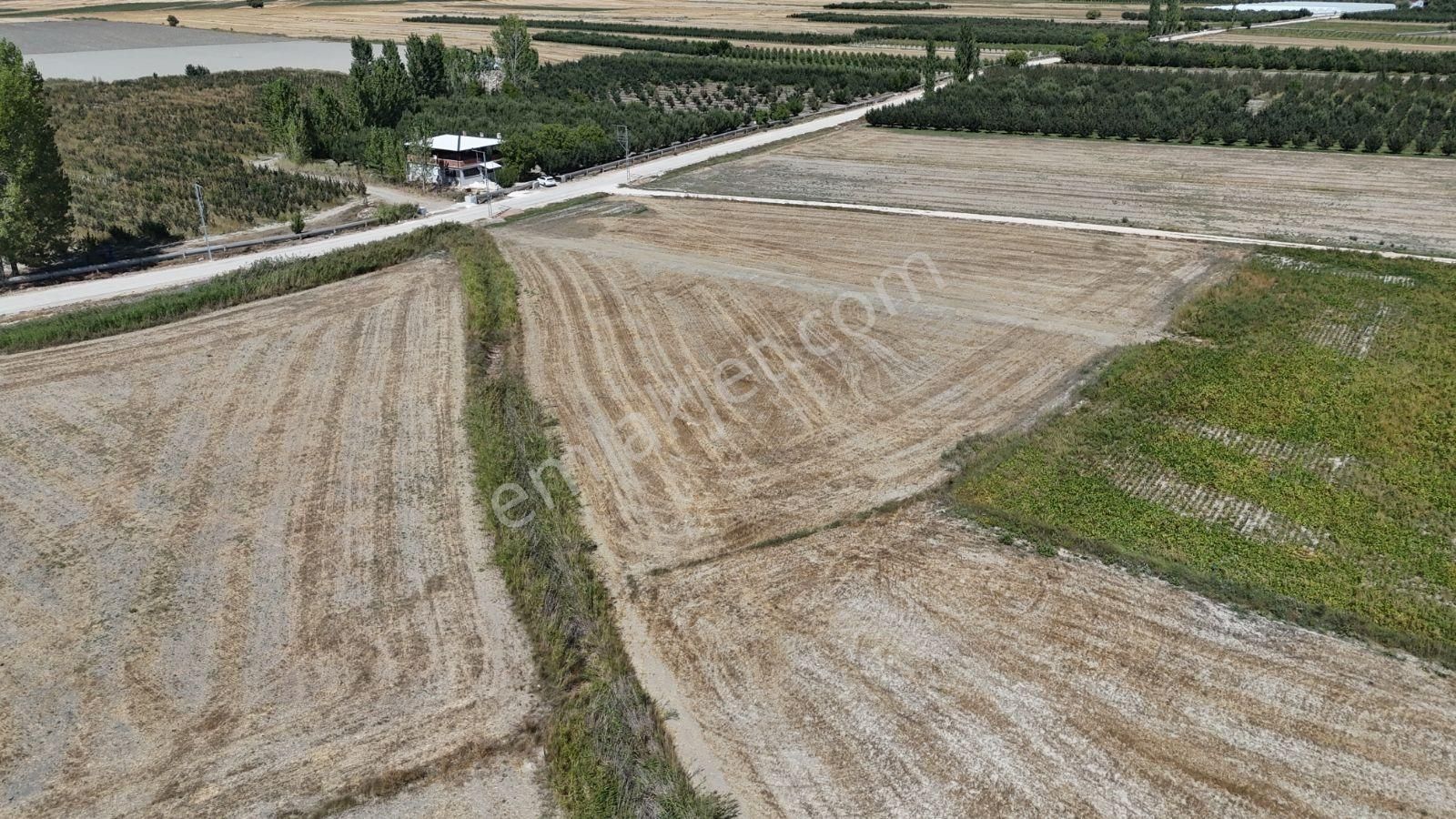 07 Truva Emlaktan Elmalı Mursel Köyünde Satılık Tarla - Görsel 27