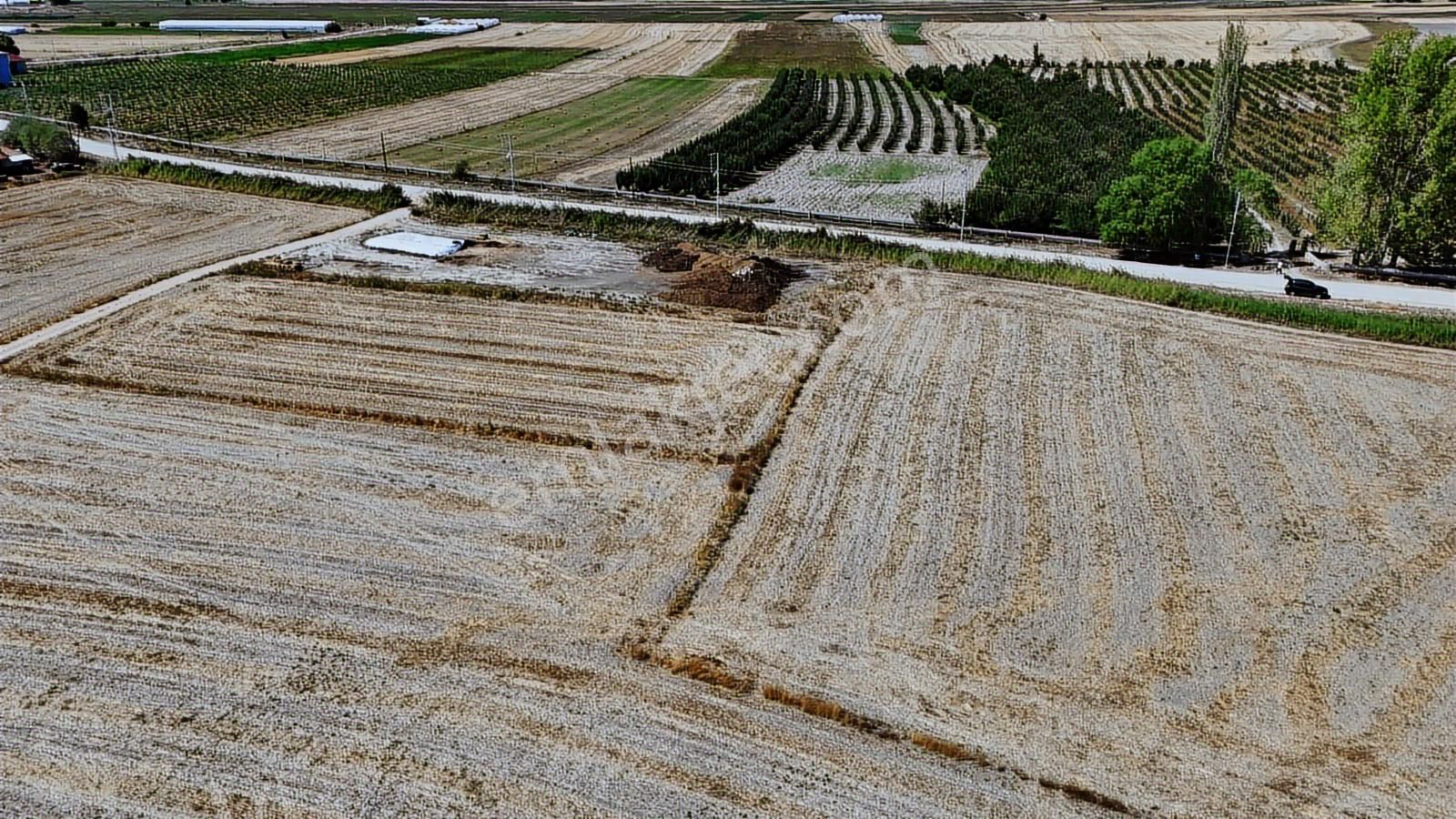 07 Truva Emlaktan Elmalı Mursel Köyünde Satılık Tarla - Görsel 35
