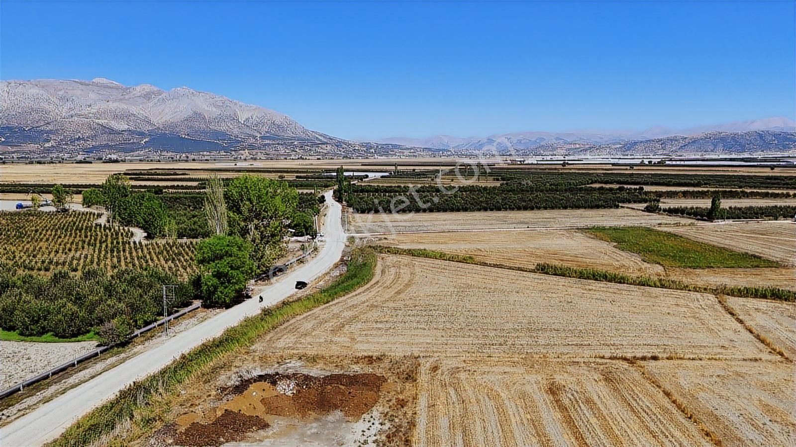07 Truva Emlaktan Elmalı Mursel Köyünde Satılık Tarla - Görsel 13