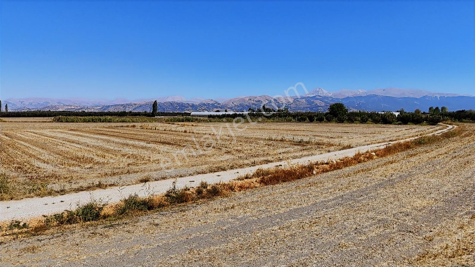 07 Truva Emlaktan Elmalı Mursel Köyünde Satılık Tarla - Görsel 9