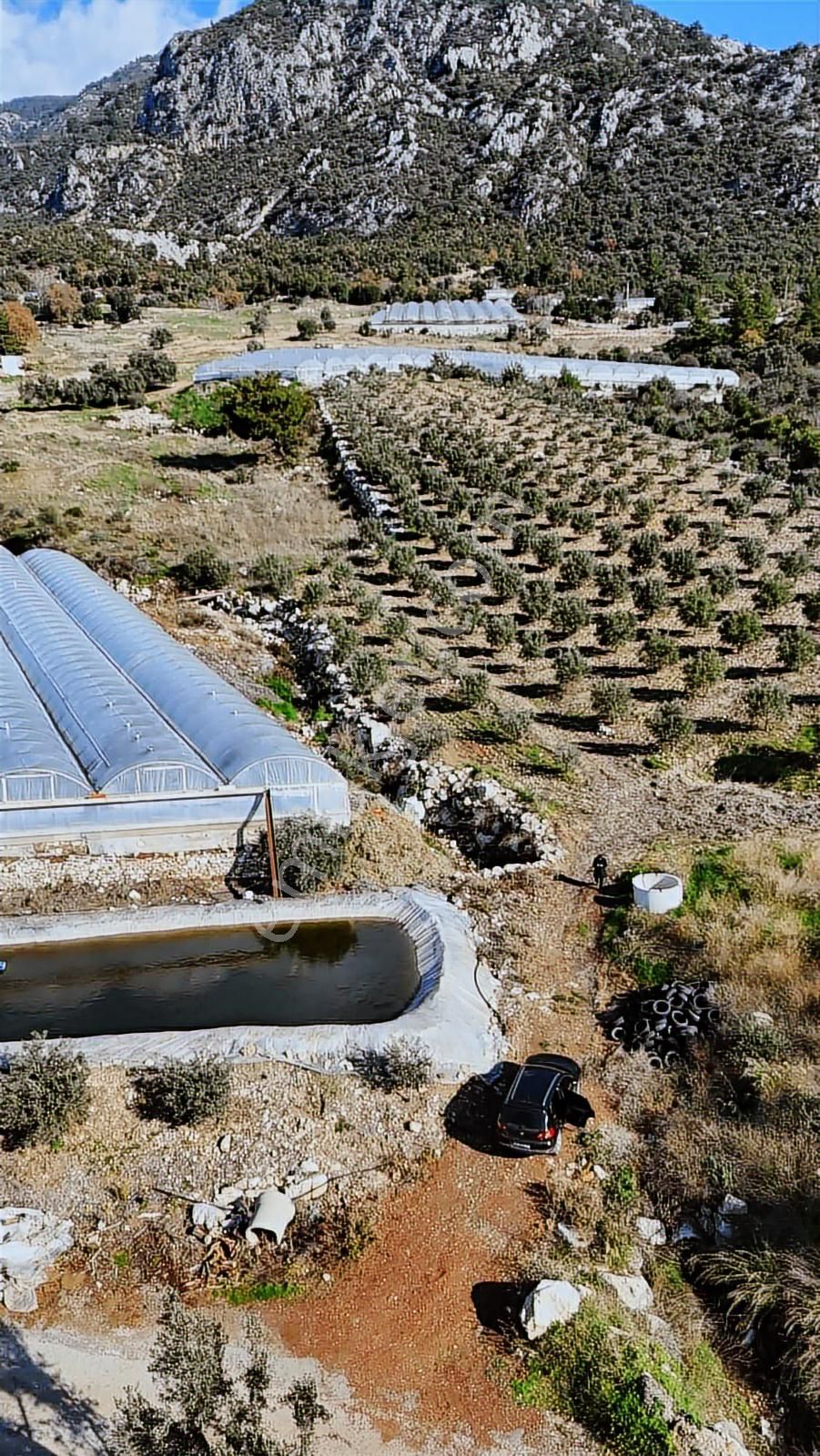 07 Truva Emlak Tan Kumluca İncircik Köyünde Satılık Zeytinlik - Görsel 32