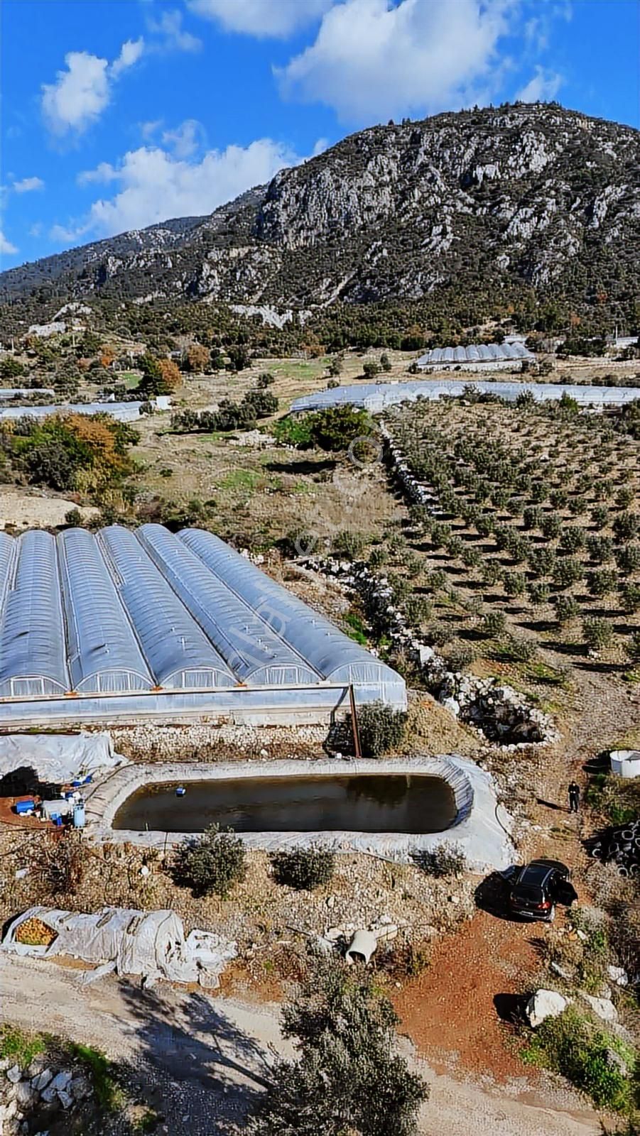 07 Truva Emlak Tan Kumluca İncircik Köyünde Satılık Zeytinlik - Görsel 16