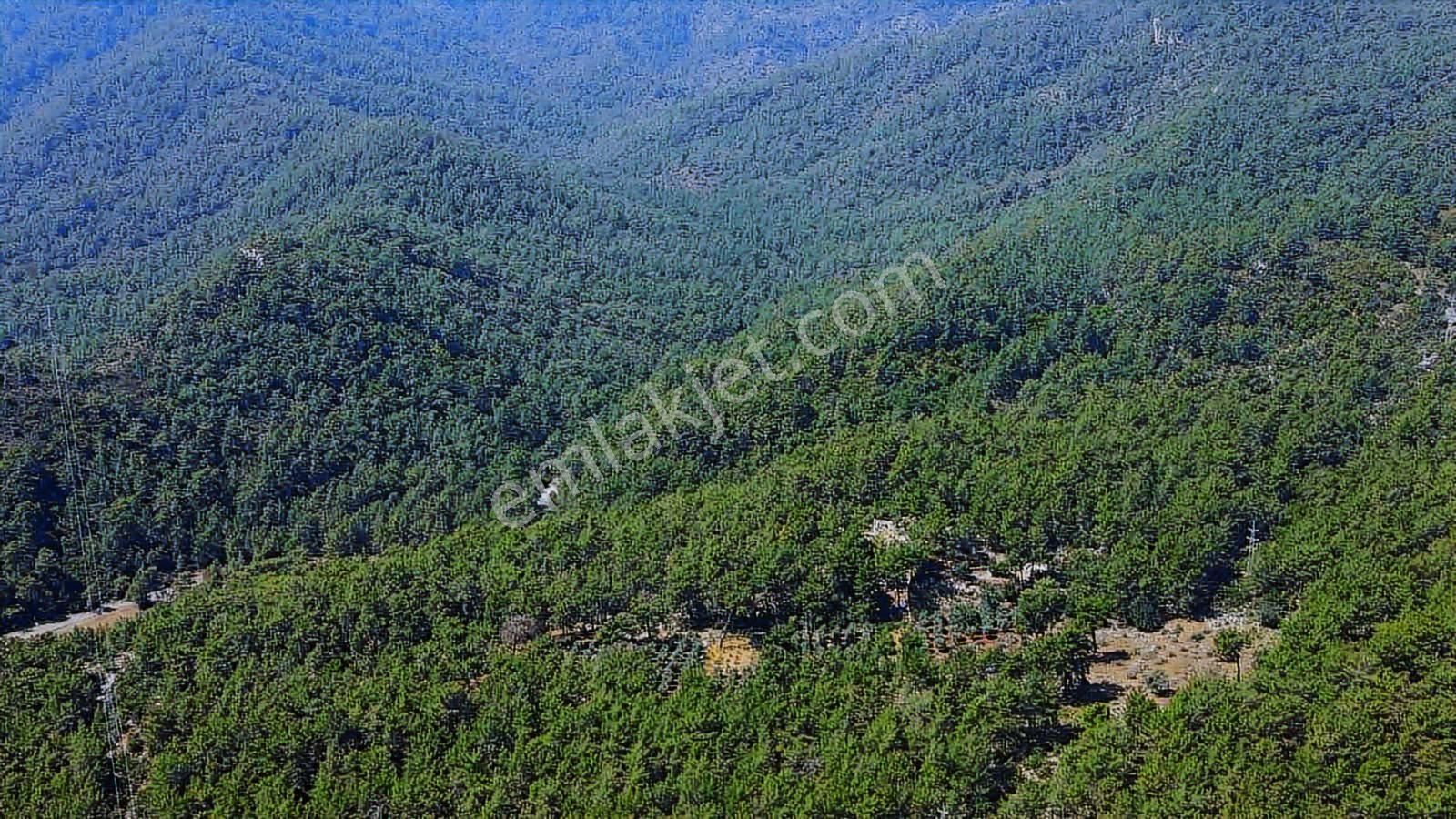 07 Truva Emlaktan Kemer Tekirovada Satılık Arazi - Görsel 17