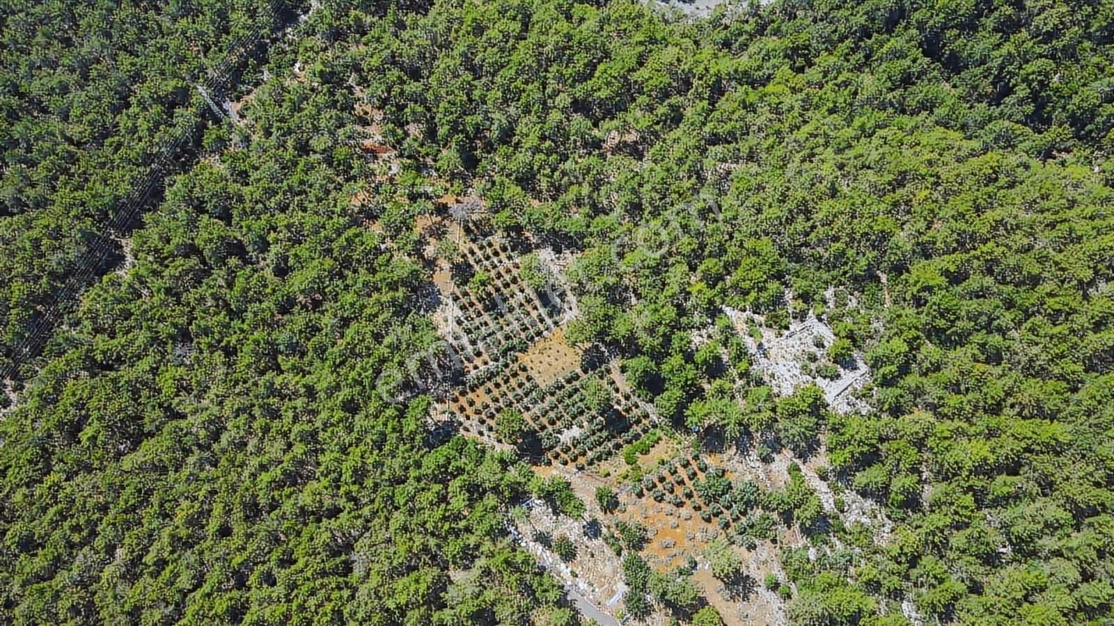 07 Truva Emlaktan Kemer Tekirovada Satılık Arazi - Görsel 16