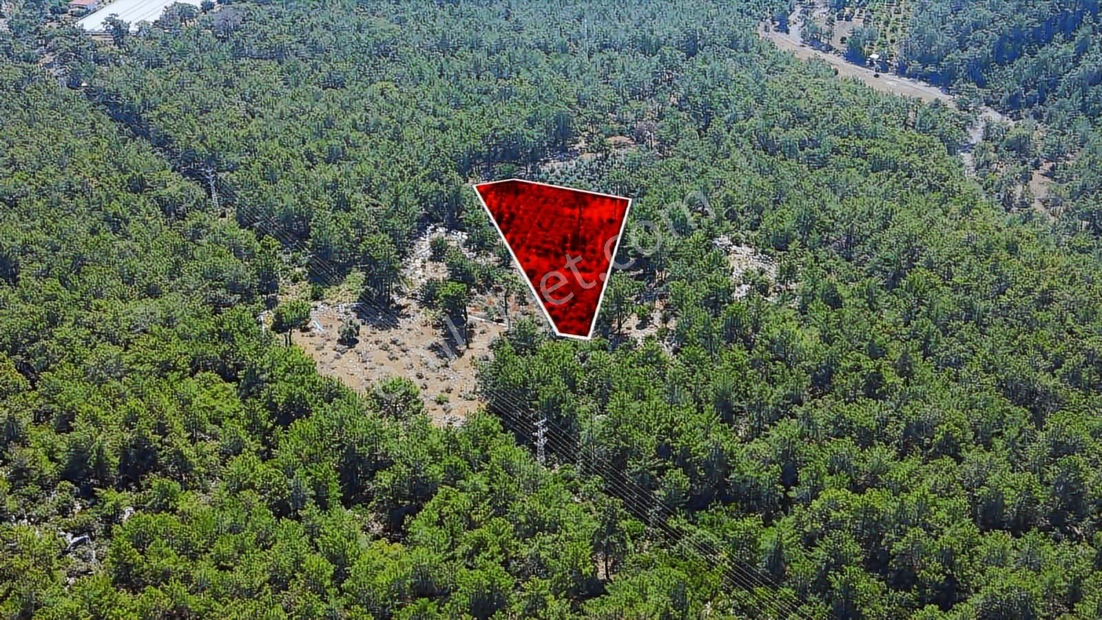 07 Truva Emlaktan Kemer Tekirovada Satılık Arazi - Görsel 7