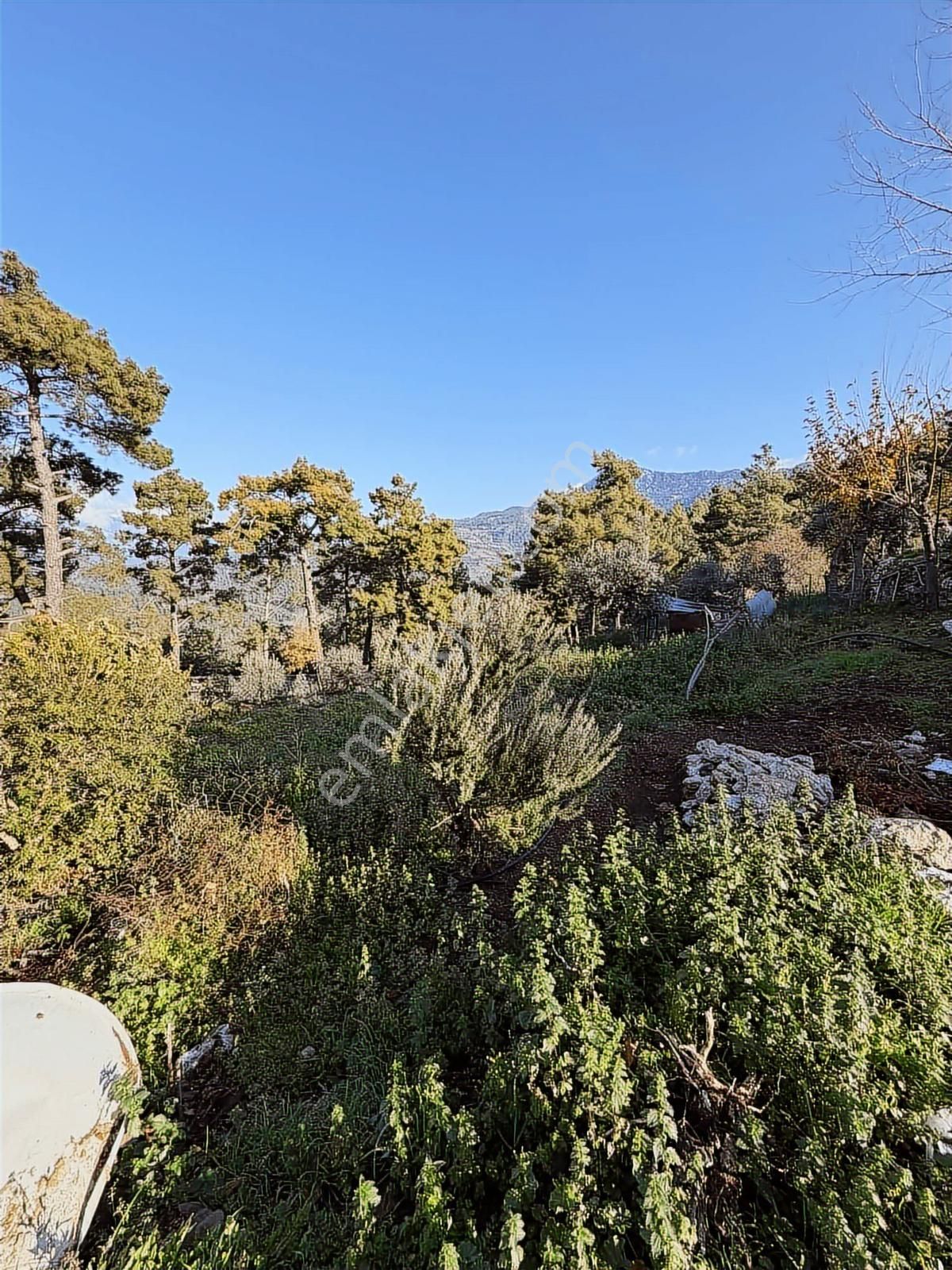 07 Truva Emlaktan Kumluca Güzörende Satılık Arsa - Görsel 15