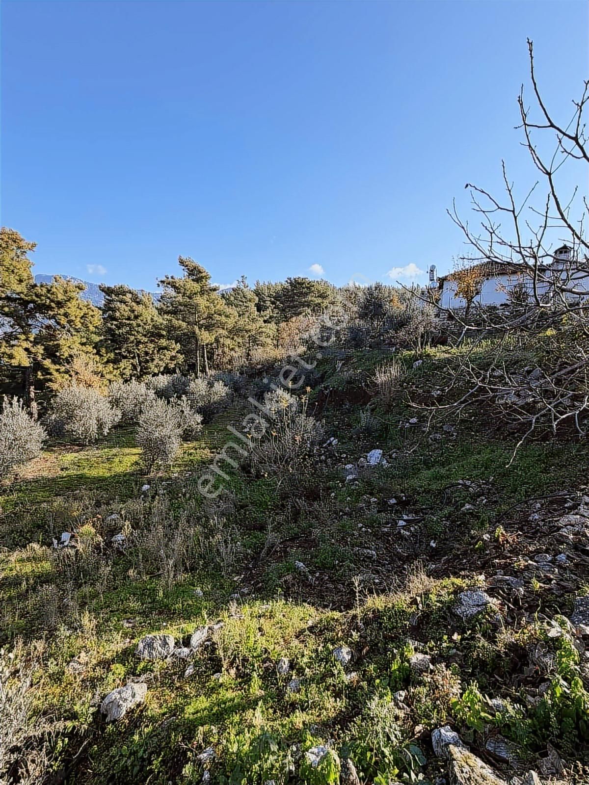 07 Truva Emlaktan Kumluca Güzörende Satılık Arsa - Görsel 34
