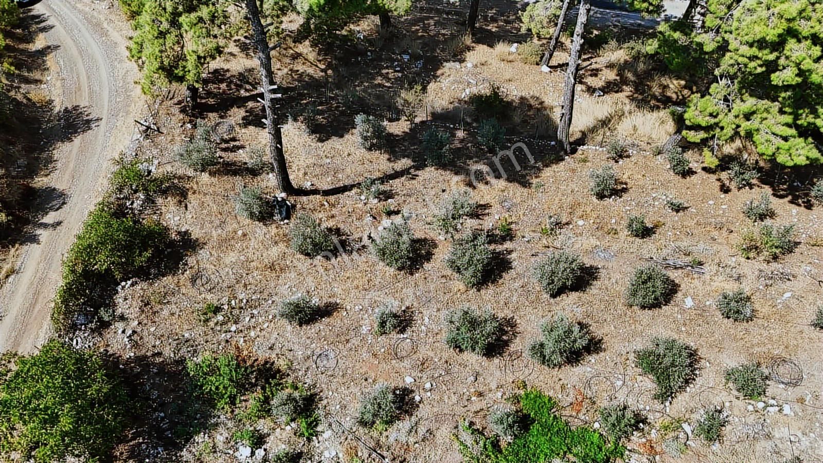 07 Truva Emlaktan Kumluca Güzörende Satılık Arsa - Görsel 27