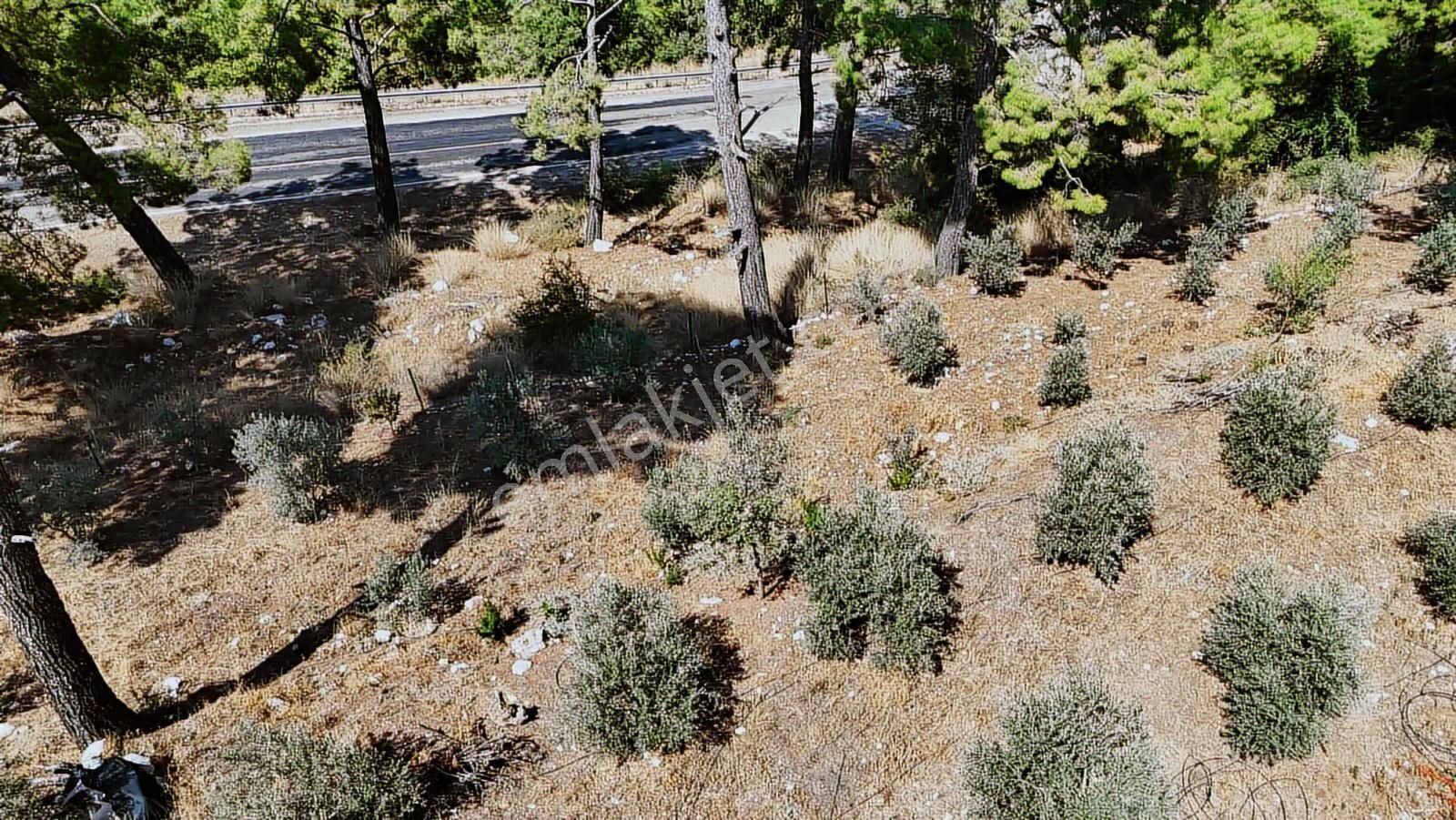 07 Truva Emlaktan Kumluca Güzörende Satılık Arsa - Görsel 9