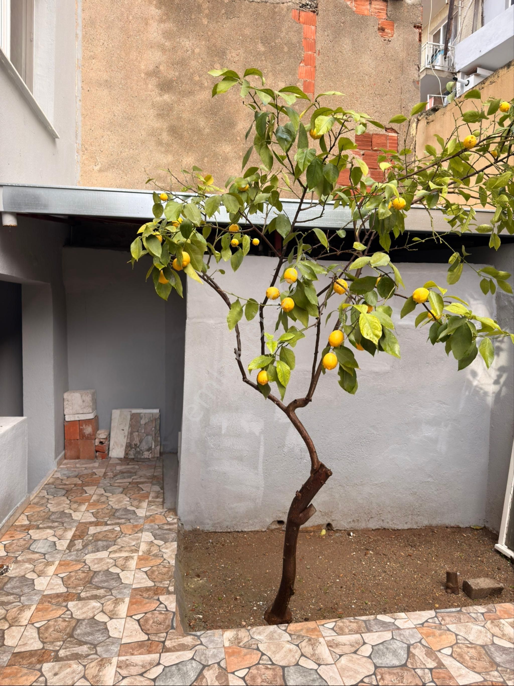 İzmir Merkezi Konum Doğalgazlı Daire - Görsel 12