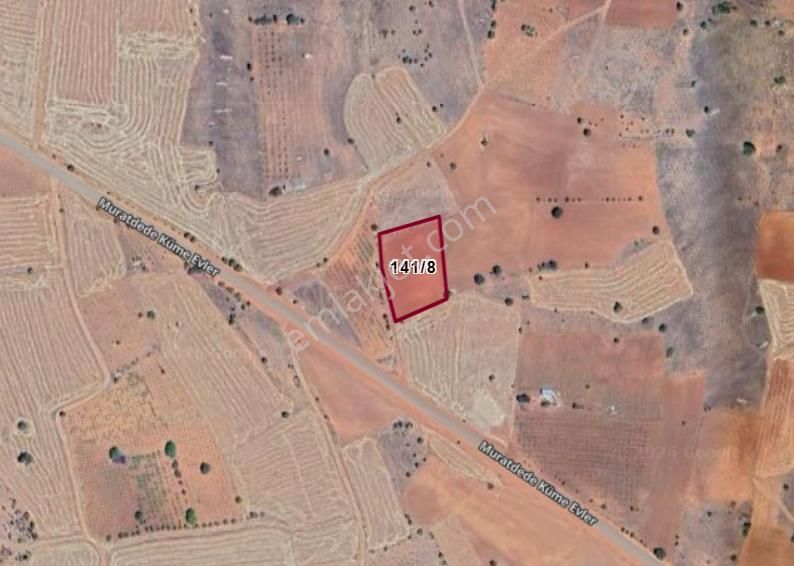 Karaman Merkez Muratdede Köyünde 2.974 M² Bağ Satılıktır