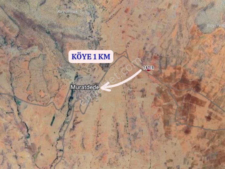 Karaman Merkez Muratdede Köyünde 2.974 M² Bağ Satılıktır - Görsel 5
