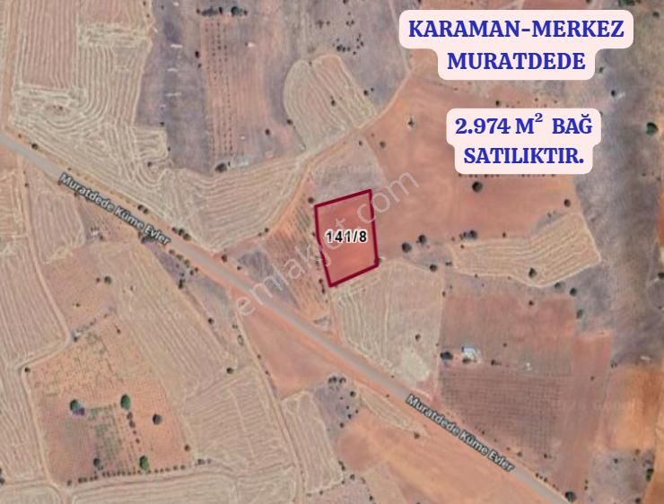Karaman Merkez Muratdede Köyünde 2.974 M² Bağ Satılıktır - Görsel 2