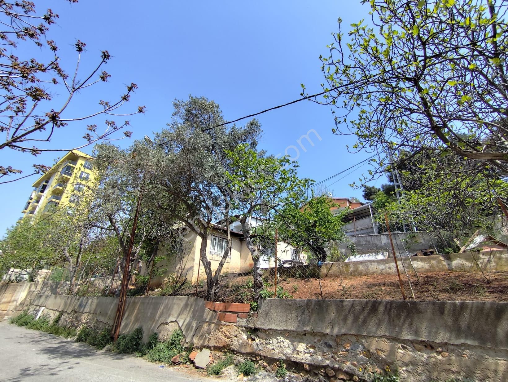 Mertcan Dan Çarşı Mah 392m2 Fırsat Satılık Arsa - Görsel 13