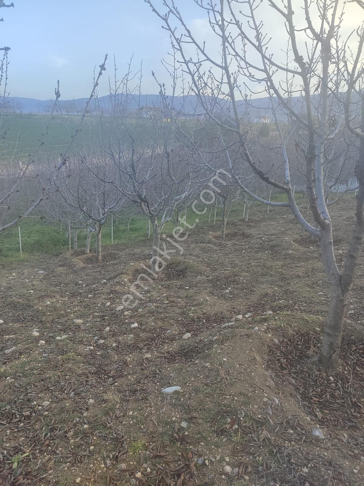 Polat Live Emlak'tan Ayaş Oltan Da 3+2 Satılık Müstakil - Görsel 22