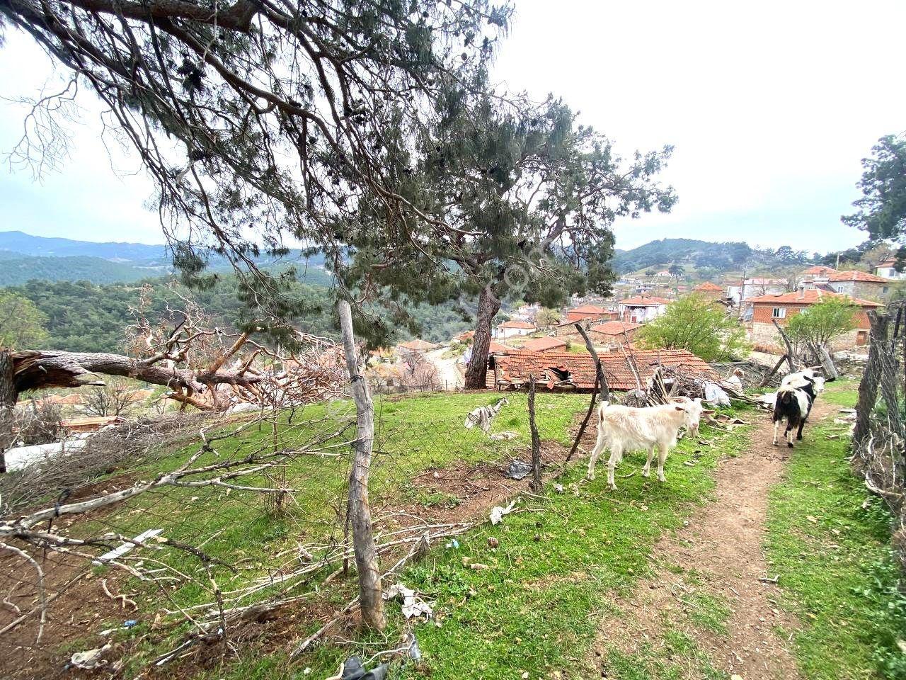 🔴aktif'ten Burhaniye Kuyumcuda %40 İmarlı 337 M² Satılık Arsa 🔴 - Görsel 4