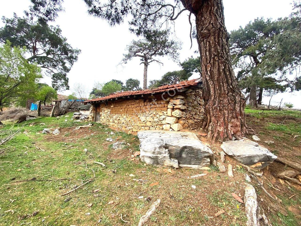 🔴aktif'ten Burhaniye Kuyumcuda %40 İmarlı 337 M² Satılık Arsa 🔴 - Görsel 20