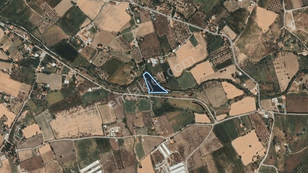 Foça Yenibağarasında Satılık Tarla - Görsel 32