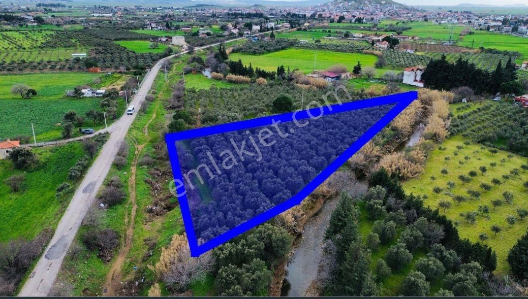 Foça Yenibağarasında Satılık Tarla - Görsel 11