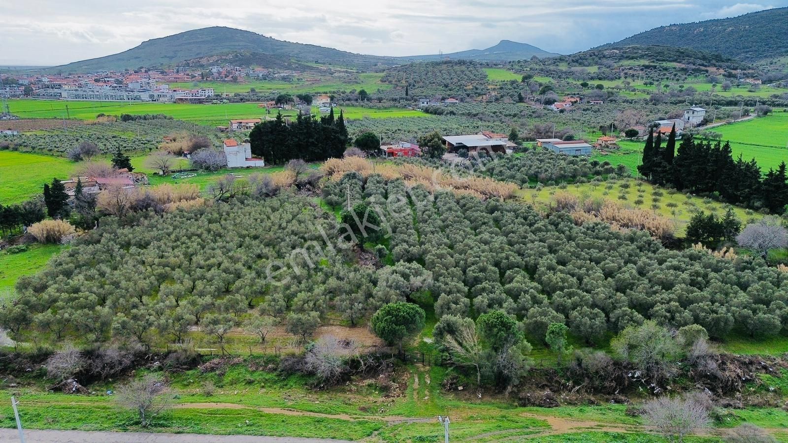 Foça Yenibağarasında Satılık Tarla - Görsel 16