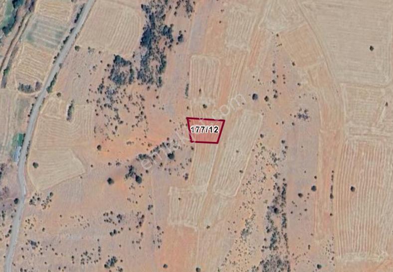 Karaman Merkez Muratdede Köyünde 1.700 M² Tarla Satılıktır
