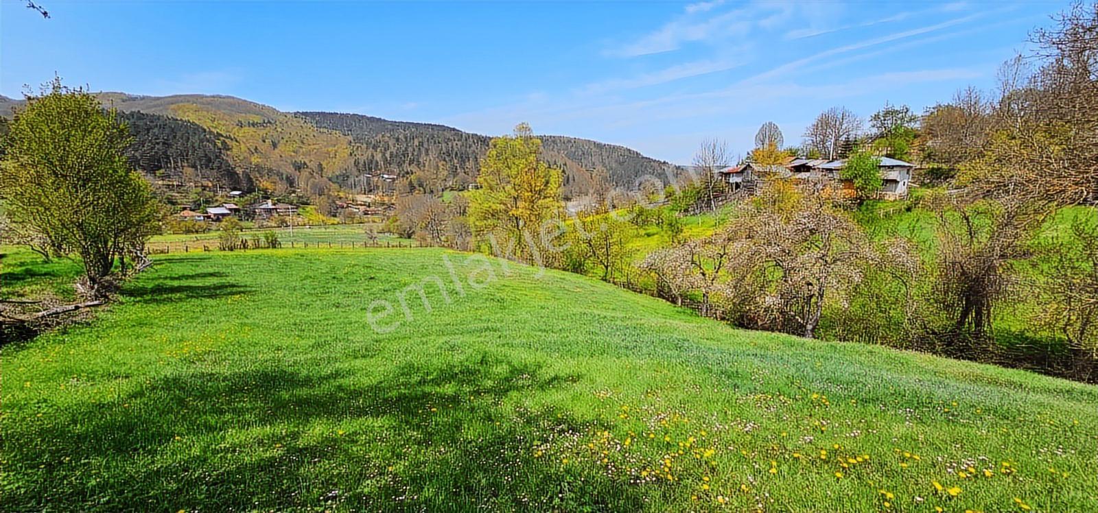 İznik Elmalı'da_700 M² İmarlı Arsalar - Görsel 11