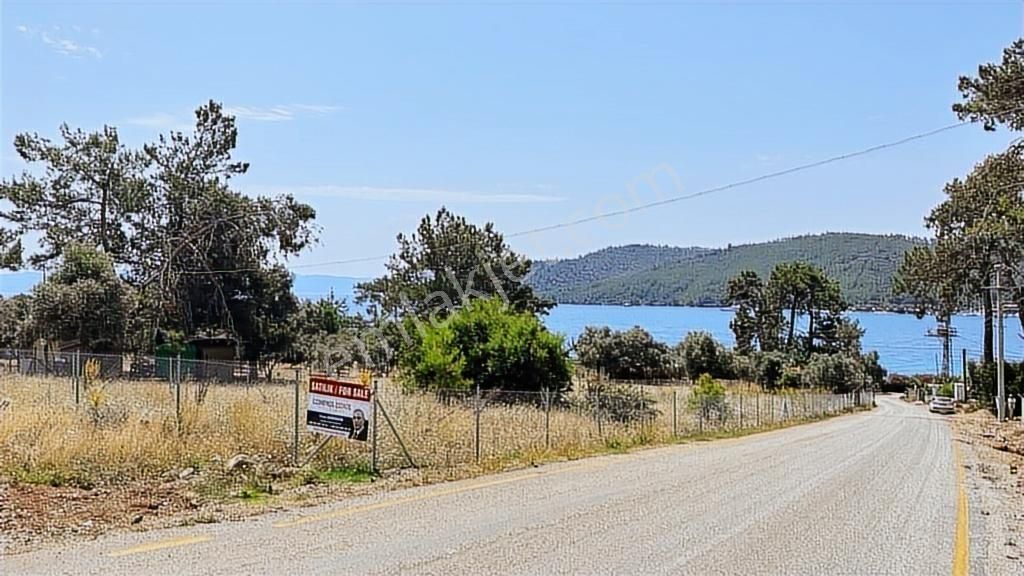 Sarnıç Akbük Koyu 75 Mt Yol Cepheli Denize 85 Mt Satılık Tarla - Görsel 15