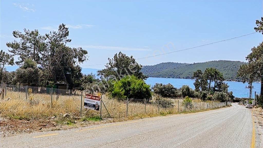 Sarnıç Akbük Koyu 75 Mt Yol Cepheli Denize 85 Mt Satılık Tarla - Görsel 28