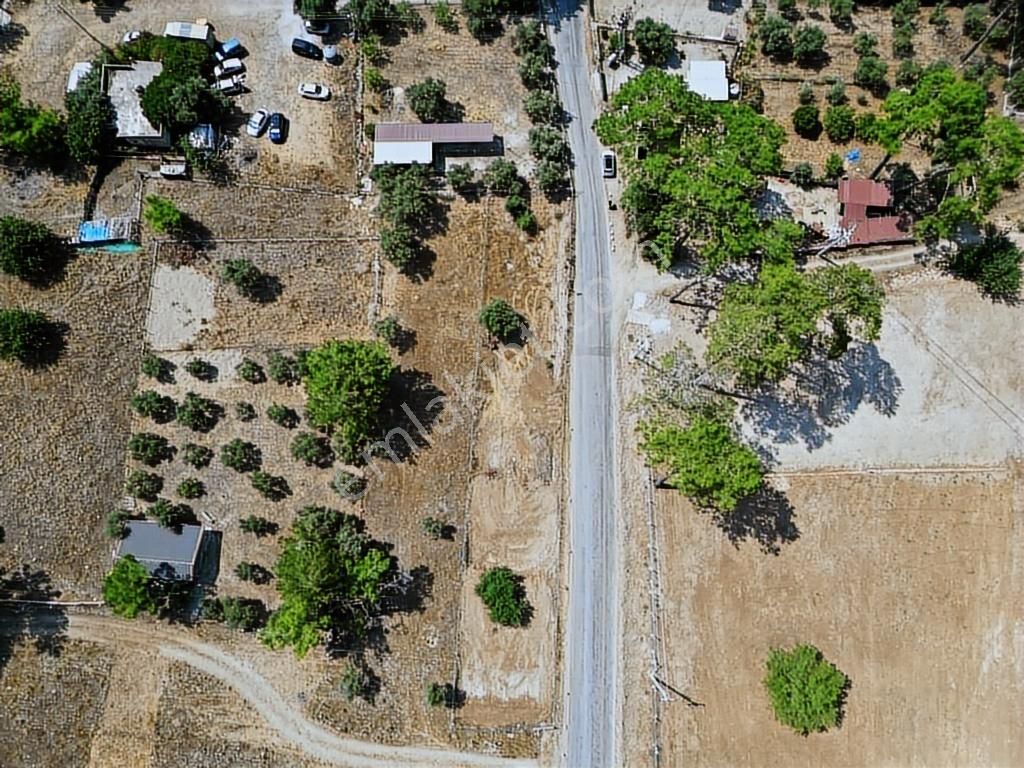 Sarnıç Akbük Koyu 75 Mt Yol Cepheli Denize 85 Mt Satılık Tarla - Görsel 12