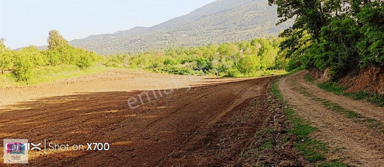 Dialog Yıldız / Kozluören Köyü'nde Satılık Tarla