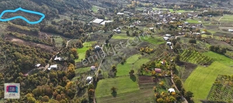 Dialog Yıldız / Nalınlar Da Manzaralı Yatırımlık Tek Tapu Arazi